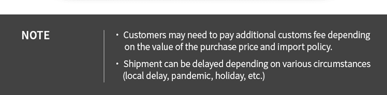 Note about possible customs fees and shipment delays due to local conditions or holidays
